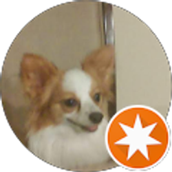 Profile photo of Pabby daHutt