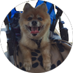 Profile photo of Janette Narvaez