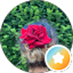 Profile photo of Laura Montoya