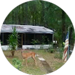 Profile photo of Maria Duncan