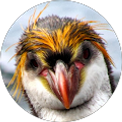 Profile photo of Amber G