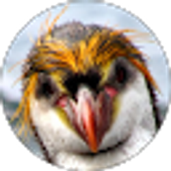 Profile photo of Amber G