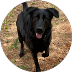 Profile photo of Chris Conroy