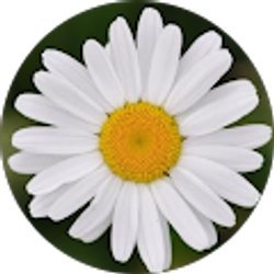 Profile photo of Maddie D