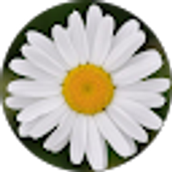 Profile photo of Maddie D