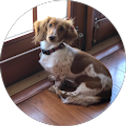 Profile photo of Ronna Myers