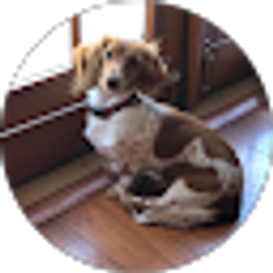 Profile photo of Ronna Myers