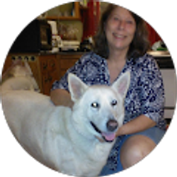 Profile photo of Connie Jelsma