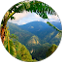 Profile photo of M.
