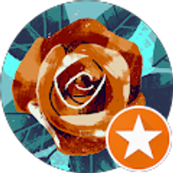 Profile photo of Katrina Marshall