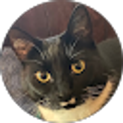 Profile photo of Carson Mellick