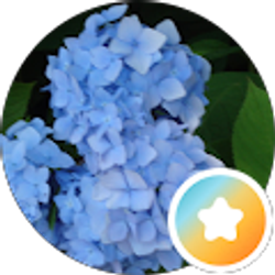 Profile photo of Maria Ronga