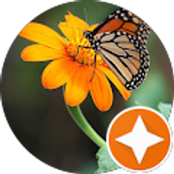 Profile photo of ALMA ULLOA GOMEZ