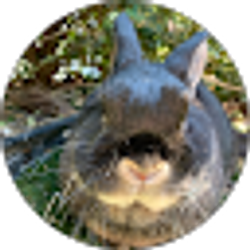 Profile photo of msaydemott