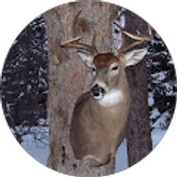 Profile photo of LaMere Legends