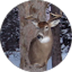 Profile photo of LaMere Legends