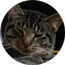 Profile photo of Johnathan Welch