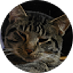 Profile photo of Johnathan Welch