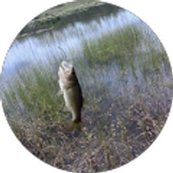 Profile photo of James Cross