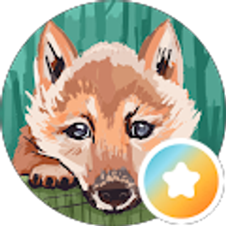 Profile photo of VP Flyball