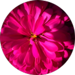 Profile photo of Laura Hughes