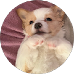 Profile photo of peppi