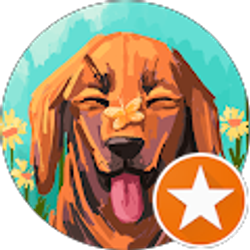 Profile photo of Dvmmp 956