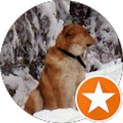 Profile photo of Mina Hayes