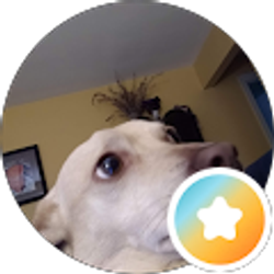 Profile photo of Julia Hofstetter
