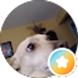 Profile photo of Julia Hofstetter