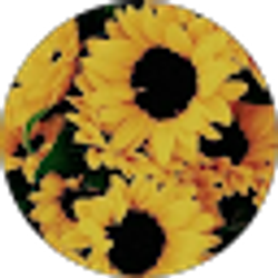 Profile photo of Reyna Otero