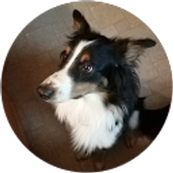 Profile photo of Adam Koch