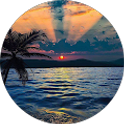 Profile photo of Cari Ackharath