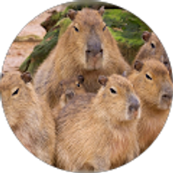 Profile photo of Becca Stanish