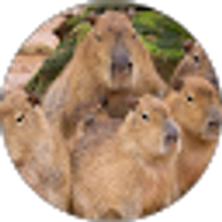 Profile photo of Becca Stanish