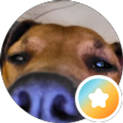 Profile photo of Sarah Vasquez