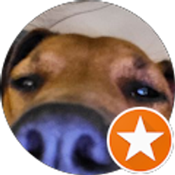 Profile photo of Sarah Vasquez