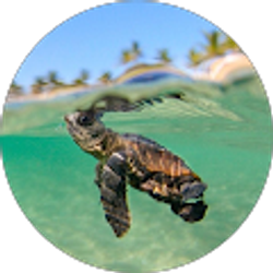 Profile photo of lilah moore