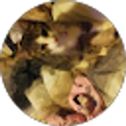 Profile photo of Candi Gesner