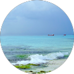 Profile photo of Cara Tollefson