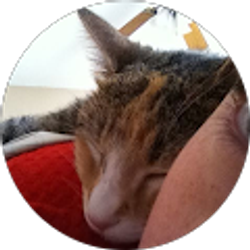 Profile photo of Robyn Todd