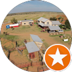 Profile photo of Diamond H Braunvieh