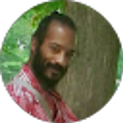 Profile photo of Keith Rodgers
