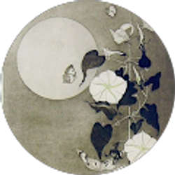 Profile photo of Michelle P