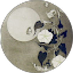 Profile photo of Michelle P