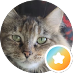 Profile photo of cldyvsn