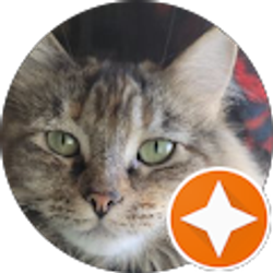 Profile photo of cldyvsn