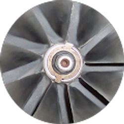 Profile photo of Doug F