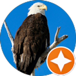 Profile photo of Becky Benedict