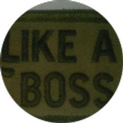 Profile photo of The Boss